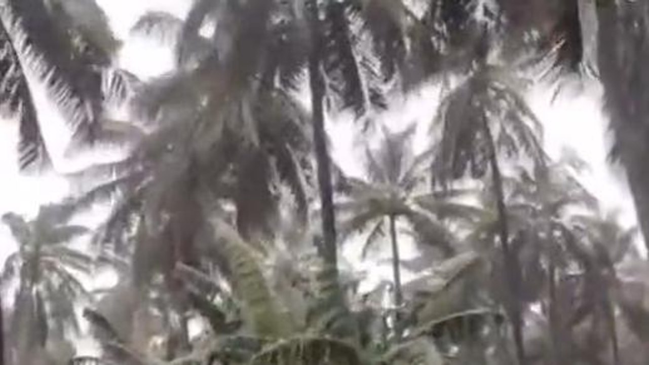 కోనసీమ జిల్లా: దంచికొట్టిన భారీ వర్షం