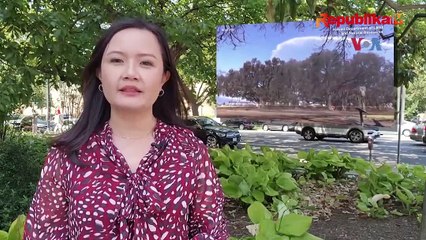 Korban Meninggal Kebakaran Hawaii Capai 114 Orang