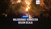 Angst vor den Flammen: Im Nordosten Algeriens brennen die Wälder