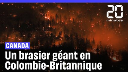 Incendies au Canada : 14 millions d'hectares brûlés, un record