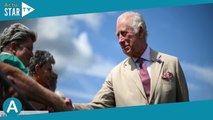 “Ça serait bien…”  Charles III adresse un message à Harry lors d’une visite officielle