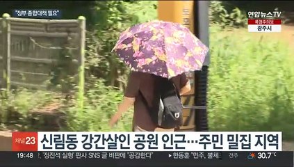 신림 공원 CCTV 7대 뿐…범죄 사각 해소책은