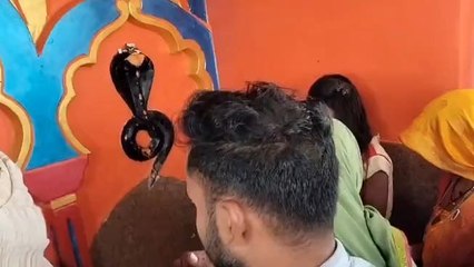 खरगौन: धूमधाम से मनाई नागपंचमी,देखें आस्था का अद्भुत नजारा