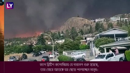 Canada Wildfires: কানাডায় ভয়াবহ দাবানল