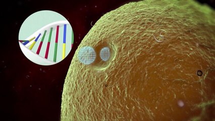Videografik: So funktionieren mRNA-Impfstoffe