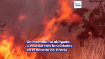 Casi trece mil hectáreas arrasadas en el incendio de Tenerife y tres localidades evacuadas en Grecia
