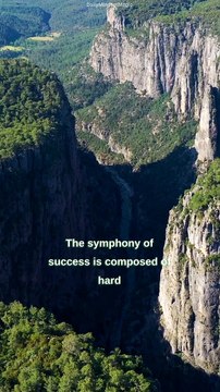 The Symphony Of Success | Motivational Quote | #DailyMindsetMagic | #Motivation #Mindset #Lifestyle #Mentality #Inspiration #Quotes #Positive #Deep #Dream #Shorts #Reels #TikTok