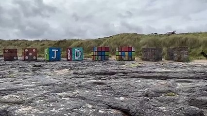 Jumping dog at Bamburgh