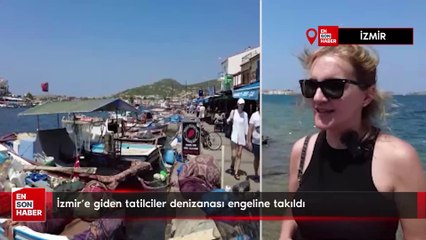 İzmir'e giden tatilciler denizanası engeline takıldı