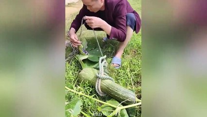 Best funny videos 2023 ●   Cutest People Doing Funny Things #89