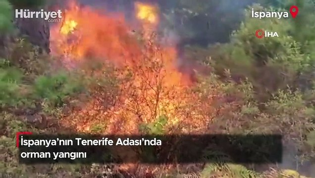 İspanya’nın Tenerife Adası’nda orman yangını