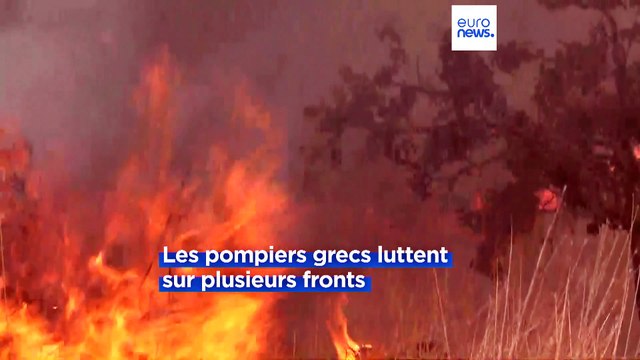 Incendies : un mort dans le centre de la Grèce, Tenerife en proie aux flammes