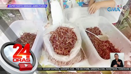 "Apan" o pritong tipaklong, patok sa Polomolok, South Cotabato | 24 Oras
