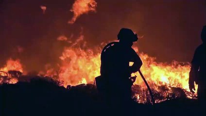 Waldbrand auf Teneriffa sorgt Touristen