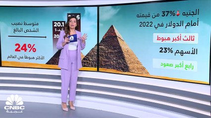 كيف يتم تقسيم الثروة في مصر؟