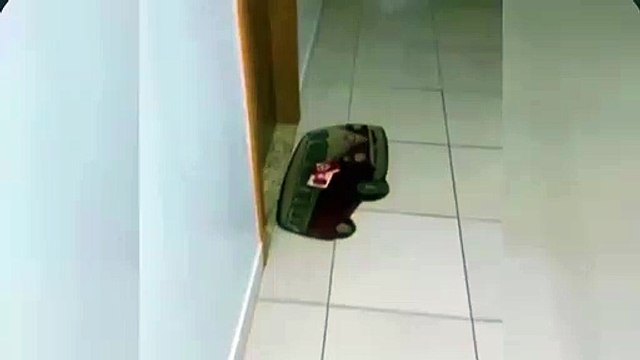 Tutor deixa cadela sozinha em apartamento para trabalhar e deixa bilhete para vizinhos