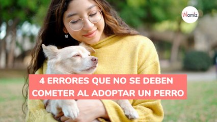 4 errores que no se deben cometer al adoptar un perro