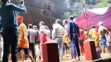लाखों श्रद्धालुओं ने किए नागद्वार के दर्शन