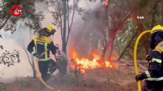 İspanya’nın Tenerife Adası’nda orman yangını: “Kasıtlı olarak çıkarıldı”