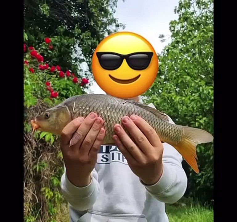 Petite carpe