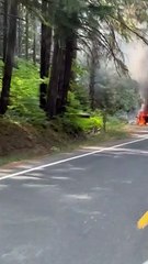 RV Roadside Fire in the Umpqua National Forest