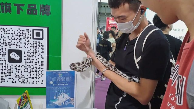 Chine : chiens clonés et gadgets luxueux au salon de l'animal de compagnie