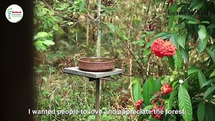 IRTA 2019 - Gold winner in the 'Best Wildlife Stay’ category