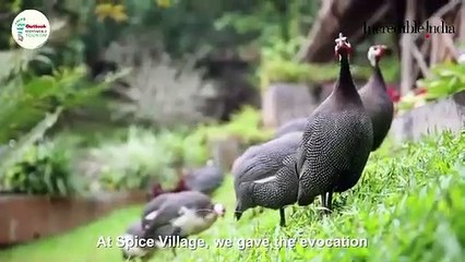 IRTA 2019 - Outstanding Achievement Award