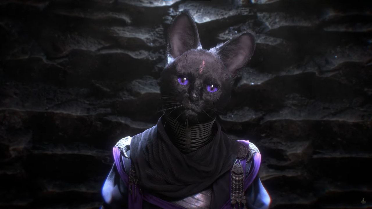 Ce jeu a récolté plus de 110 000 dollars sur Kickstarter, c'est comme Dark Souls sauf que vous allez jouer un chat !