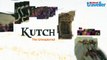 Kutch | Travel Guide | Best of Gujarat | Rann Utsav | Flamingo | Bhuj | White Desert