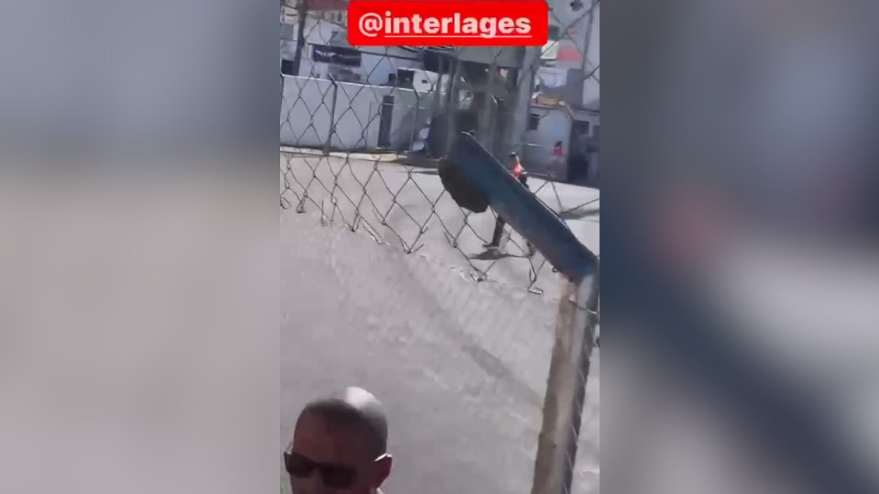 Enxame de abelhas chama atenção de torcedores durante Inter de Lages e Santa Catarina