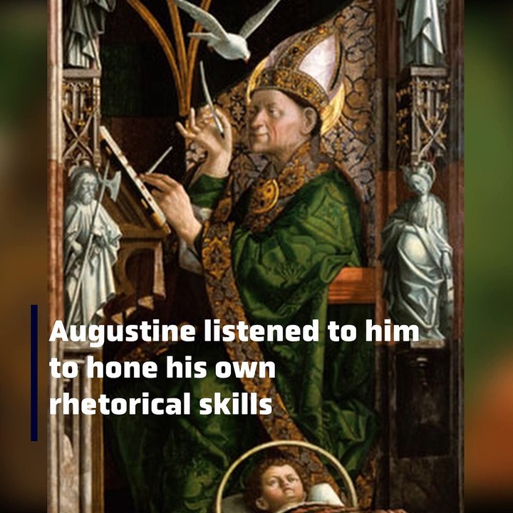 Bad Boy St.Augustine's Wild Life