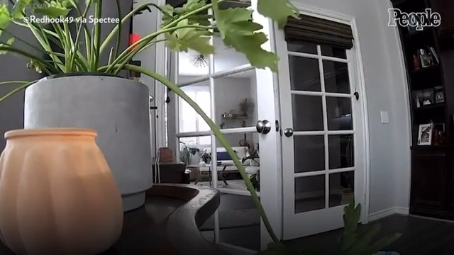 5.1-Magnitude Earthquake Strikes Ojai as Southern California Experiences Hurricane Hilary Tropical Storm