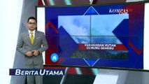 Akibat Kebakaran Hutan di Lerang Gunung Semeru, Jalur Pendakian Ditutup!