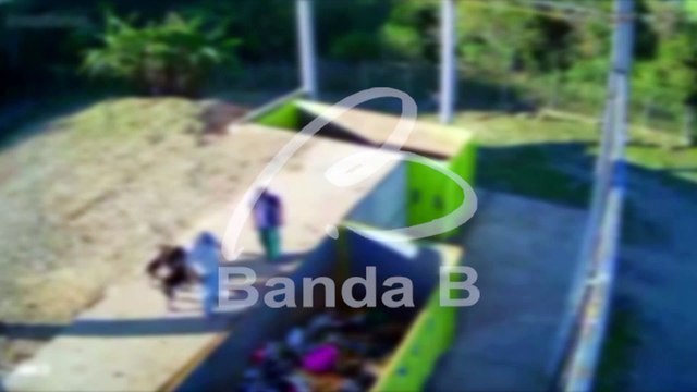 Suspeitos que arremessaram cães em lixo no Paraná são indiciados pela polícia; vídeo mostra crime