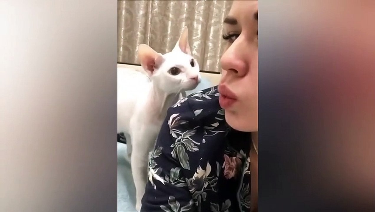 Best Funny Animals 2023 --(720P_HD)