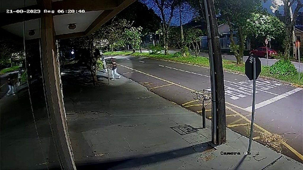 VÍDEO: Câmera de segurança flagra motorista abandonando filhotes de cachorro em avenida de Umuarama