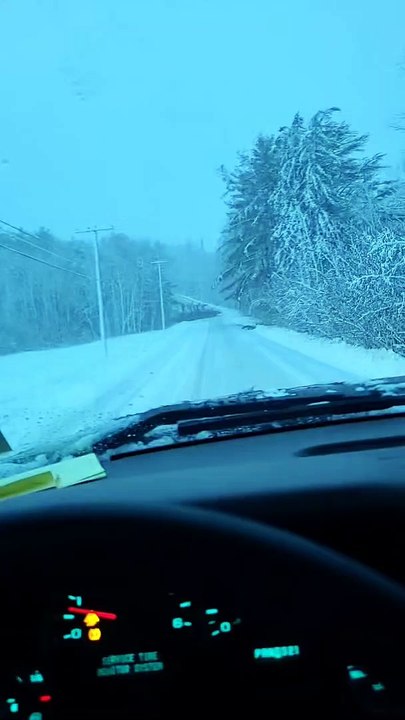 Do You Think He Ducked?