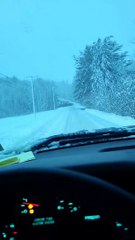 Do You Think He Ducked?