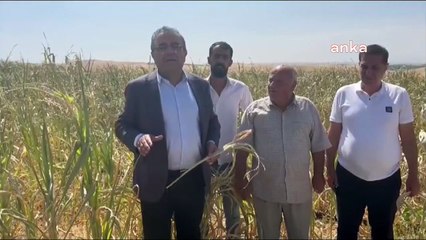 DEDAŞ'ın elektrik kesintisi mağduru köylüler