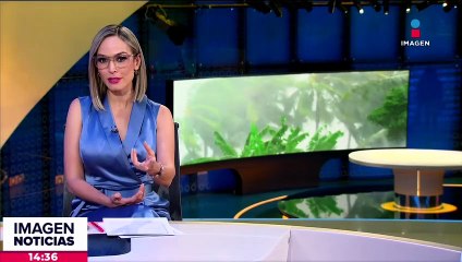 Tarjeta del Bienestar: Suspenderán trámites y entregas en BC por "Hilary"