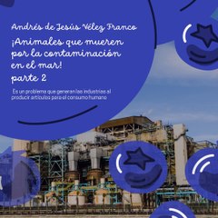 -ANDRÉS DE JESÚS VÉLEZ FRANCO- ¿CÓMO AFECTA LA CONTAMINACIÓN A LOS ANIMALES MARINOS? (PARTE 2) (@AndresdeJesus90)