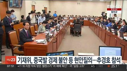 기재위, 중국발 경제 불안 등 현안질의…추경호 참석