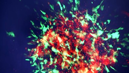 Ovarian cancer discovery could prevent fertility problems