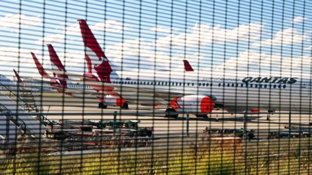 Claims airline breached law, failed to refund passengers