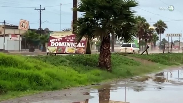 Lluvias torrenciales y aumento de casos de asma, entre los efectos del cambio climático