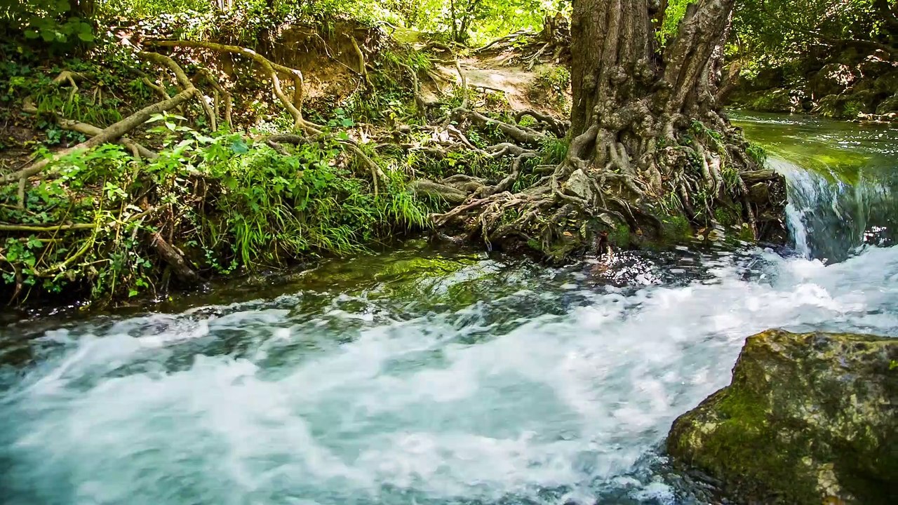 The Brook