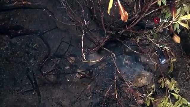 Pendik Göçbeyli köyünde ormanlık alanda yangın çıktı