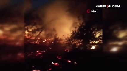 Pendik'te korkutan orman yangını 