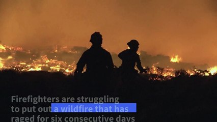 Firefighters continue battling wildfire on Spanish island of Tenerife